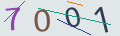 verifycode